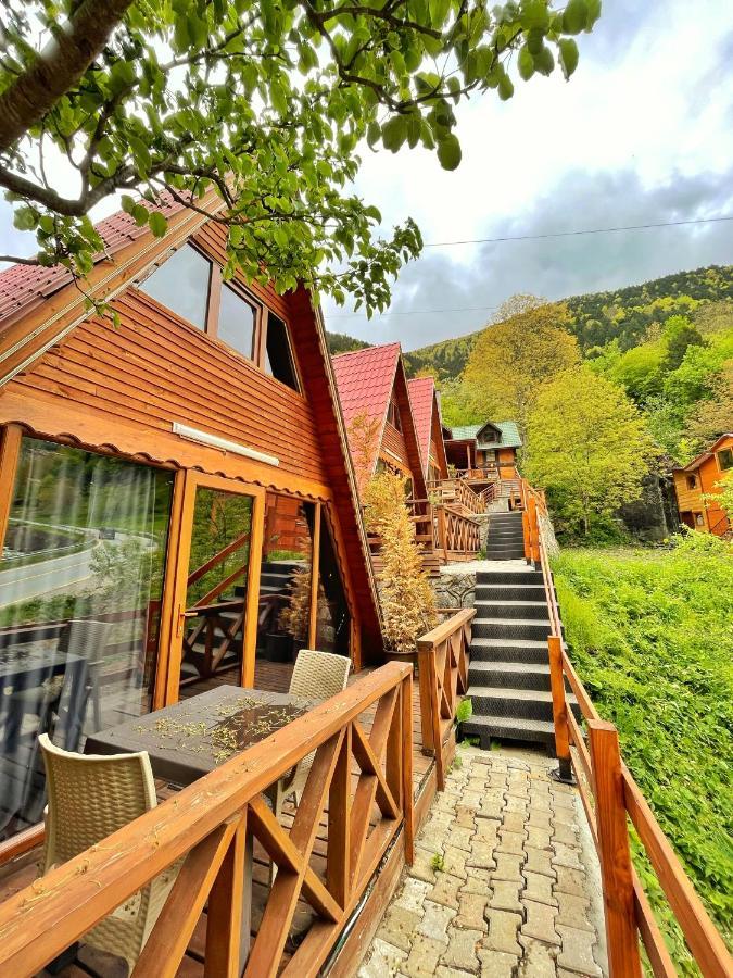 The Wooden House Uzungoel Uzungöl Buitenkant foto