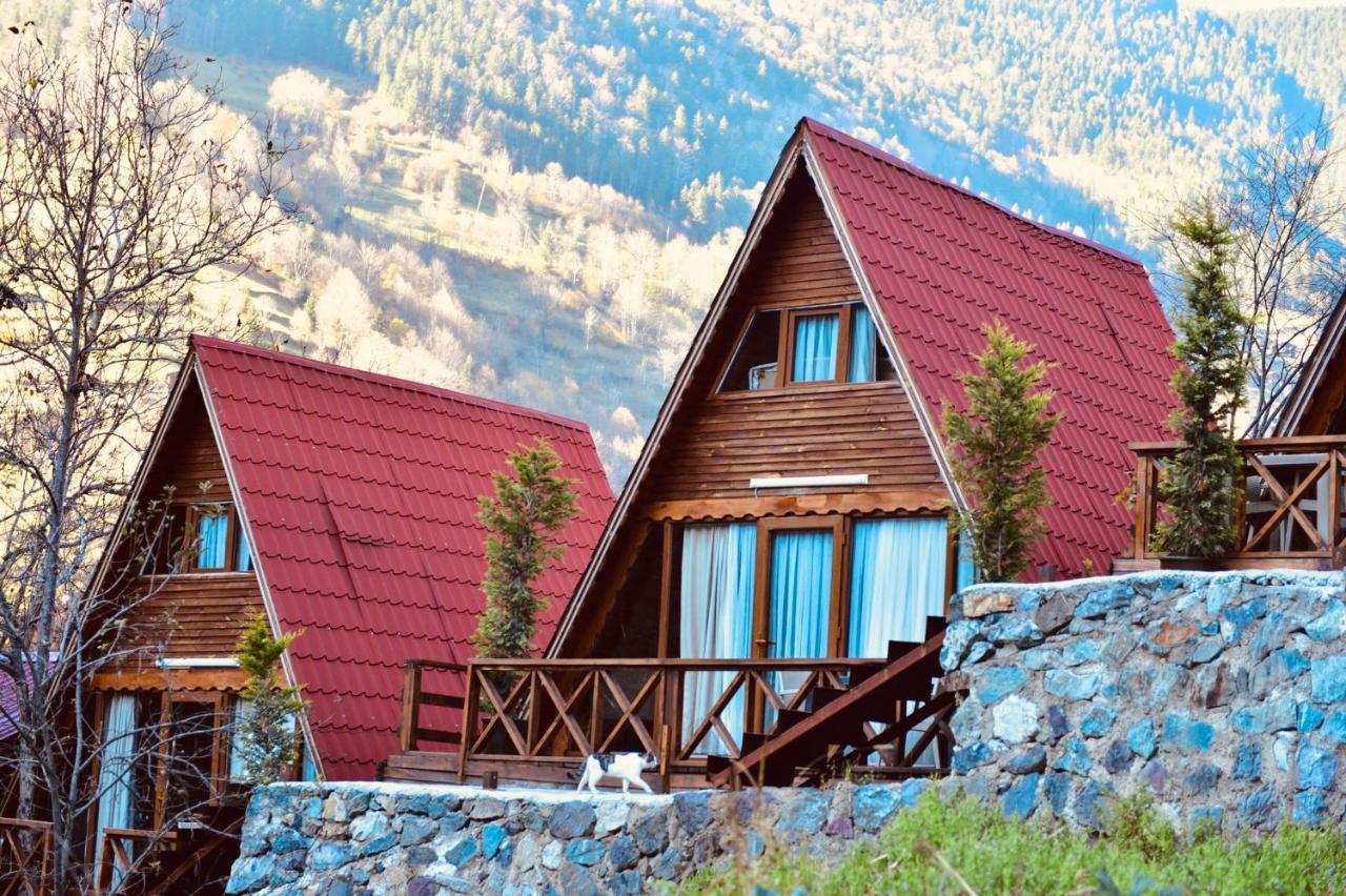The Wooden House Uzungoel Uzungöl Buitenkant foto