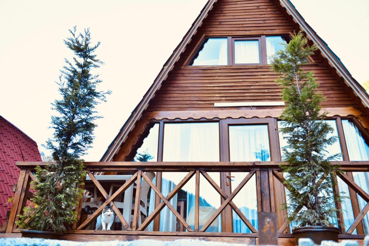 The Wooden House Uzungoel Uzungöl Buitenkant foto